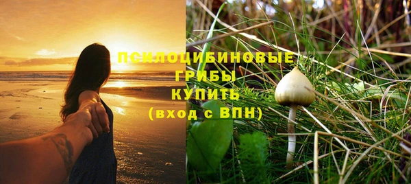 каннабис Алексеевка