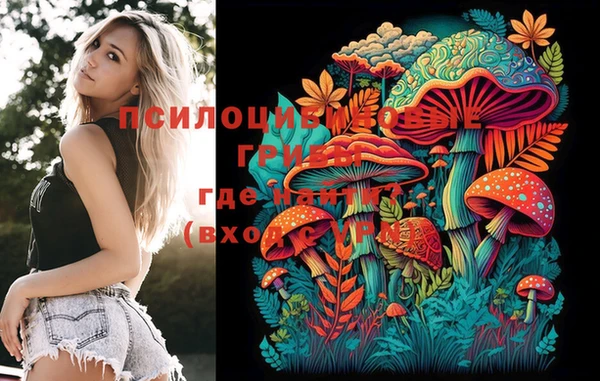 MDMA Приозерск